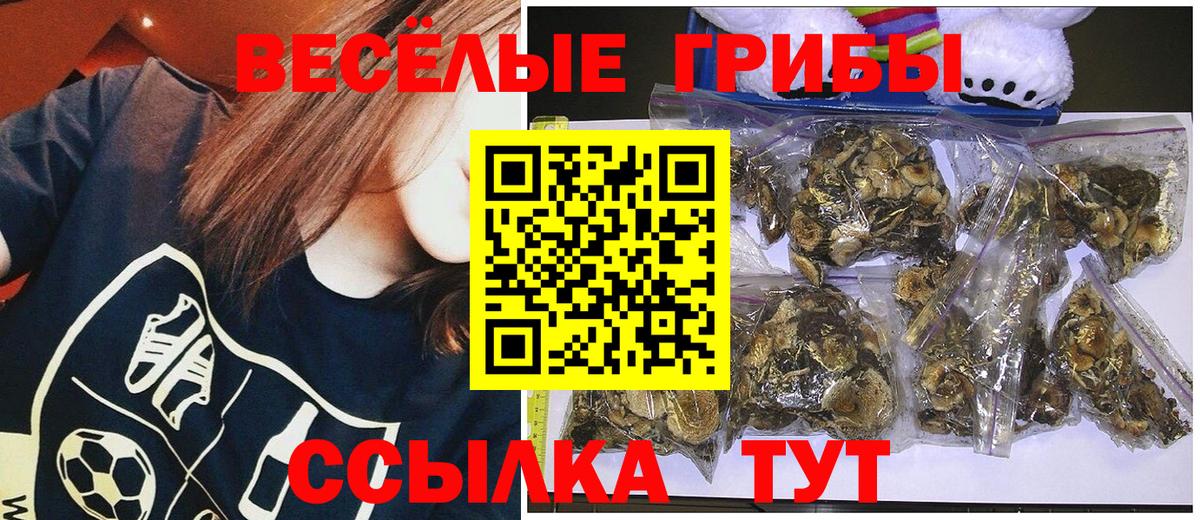 Псилоцибиновые грибы MAGIC MUSHROOMS Кимры
