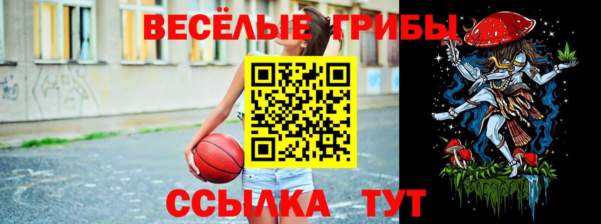 Кимры  где найти   Вход с VPN  Псилоцибиновые грибы ЛСД 